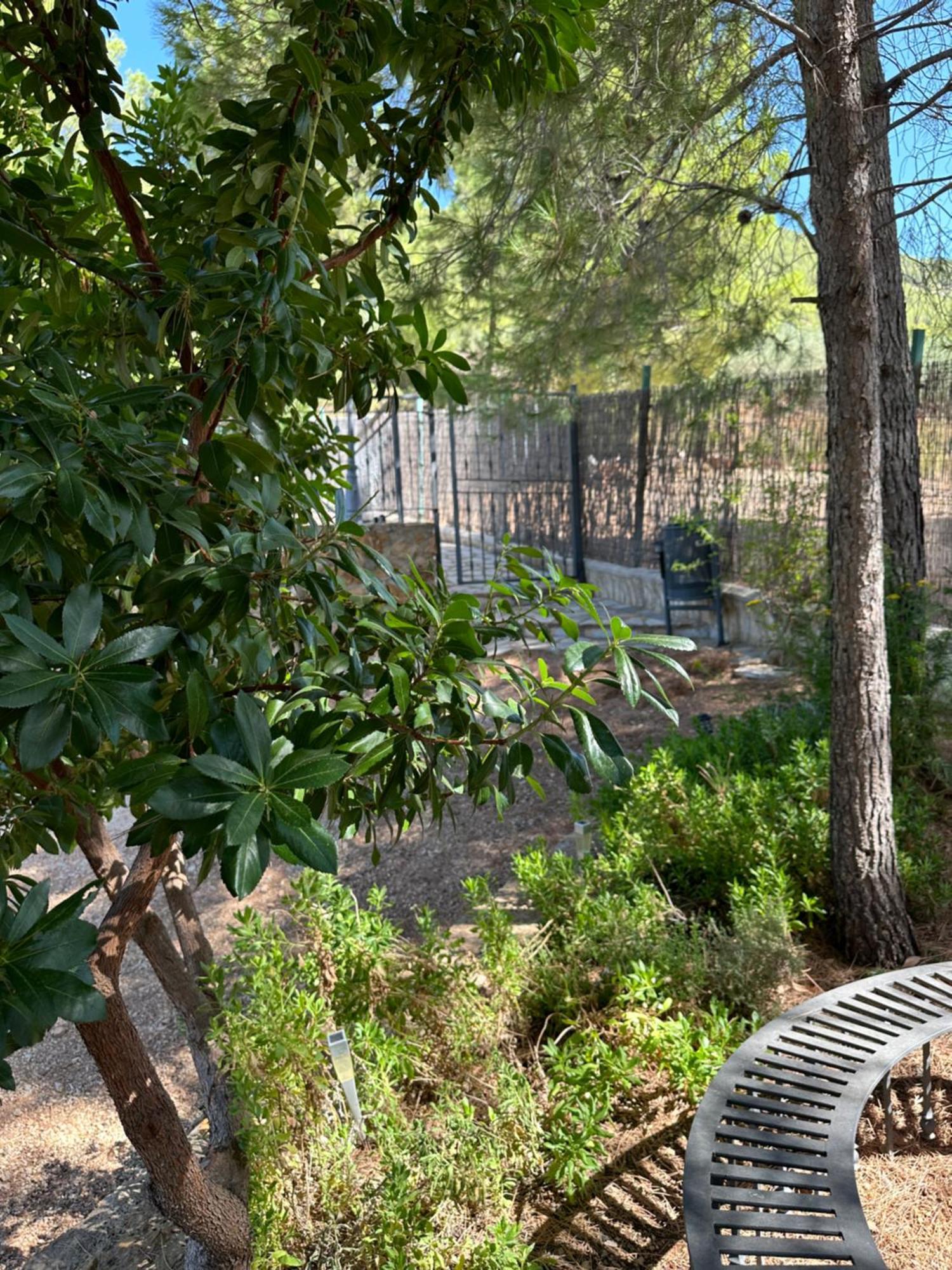 Casas Rurales Cerro Lobo Yeste Exterior photo
